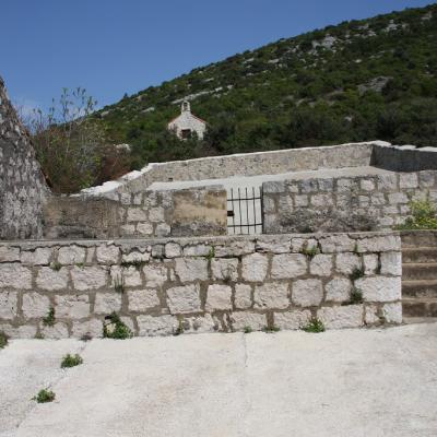 Img 2196 Large Large Large