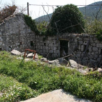 Img 2225 Large Large Large