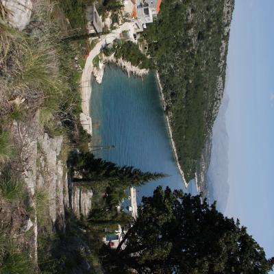 Img 2249 Large Large Large