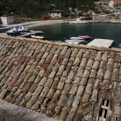 Img 2262 Large Large Large