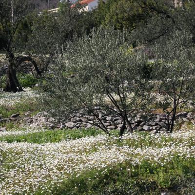 Img 2273 Large Large Large