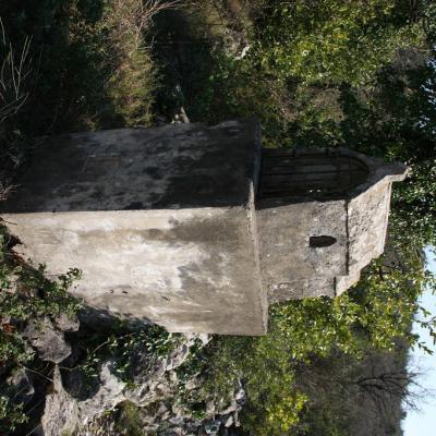 Img 2298 Large Large Large