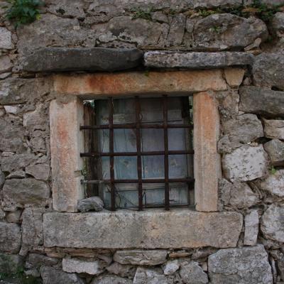 Img 2328 Large Large Large