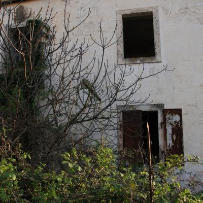 Img 2338 Large Large Large