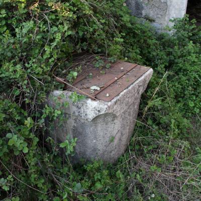 Img 2340 Large Large Large