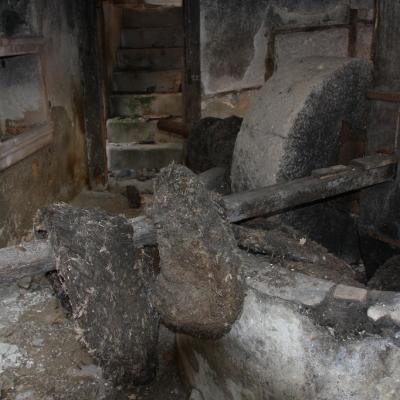 Img 2344 Large Large Large