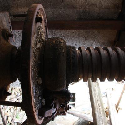 Img 2358 Large Large Large