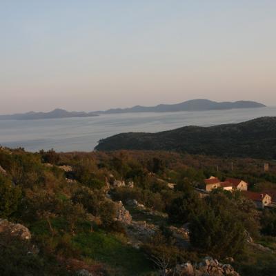 Img 2371 Large Large Large