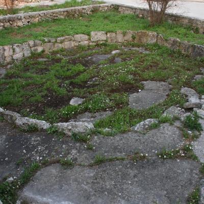 Img 2377 Large Large Large1