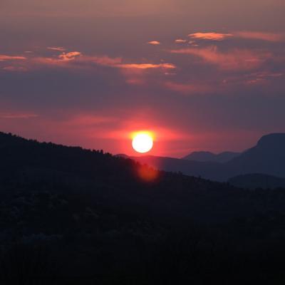 Img 2389 Large Large Large