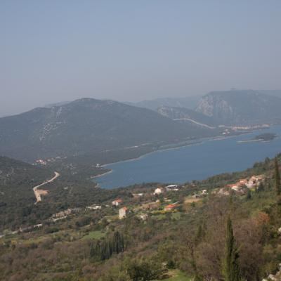 Img 2395 Large Large Large