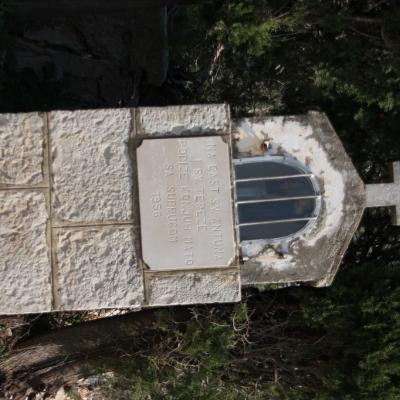 Img 2403 Large Large Large