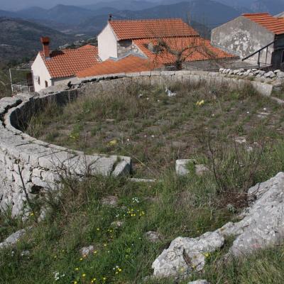 Img 2406 Large Large Large