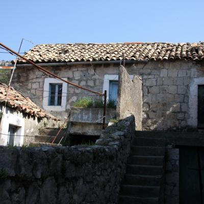 Img 2416 Large Large Large