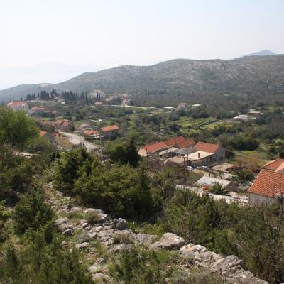 Img 2428 Large Large Large