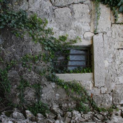 Img 2441 Large Large Large