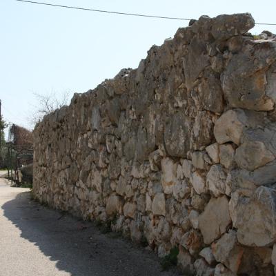 Img 2452 Large Large Large