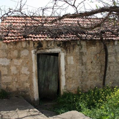 Img 2461 Large Large Large