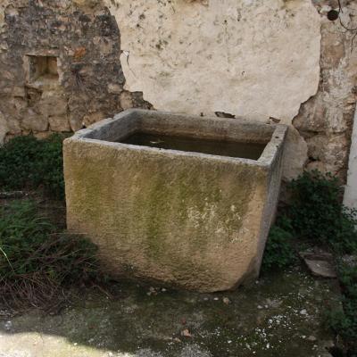 Img 2463 Large Large Large