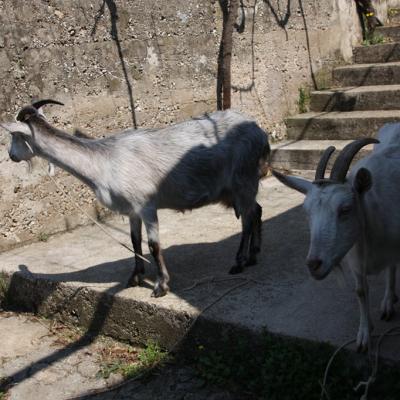 Img 2468 Large Large Large