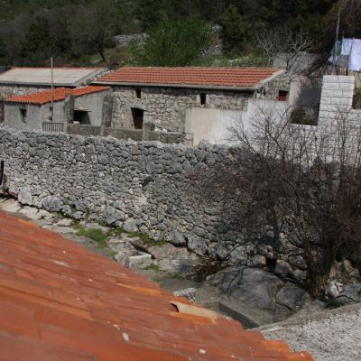 Img 2478 Large Large Large