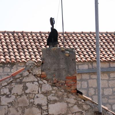 Img 2479 Large Large Large