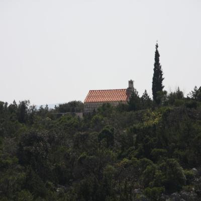 Img 2488 Large Large Large