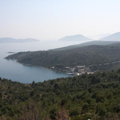 Img 2497 Large Large Large