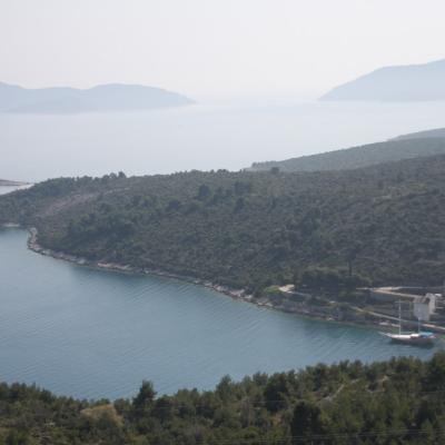 Img 2498 Large Large Large